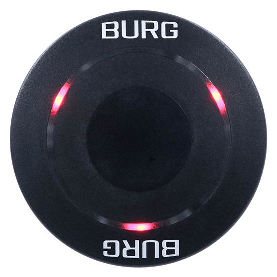 Burg Corona – Bild 2